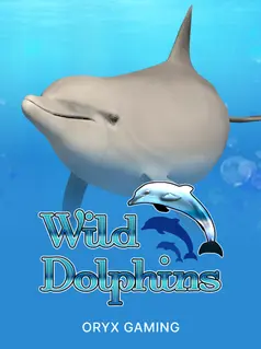 Wild Dolphins, slot da Oryx Gaming na 1win
