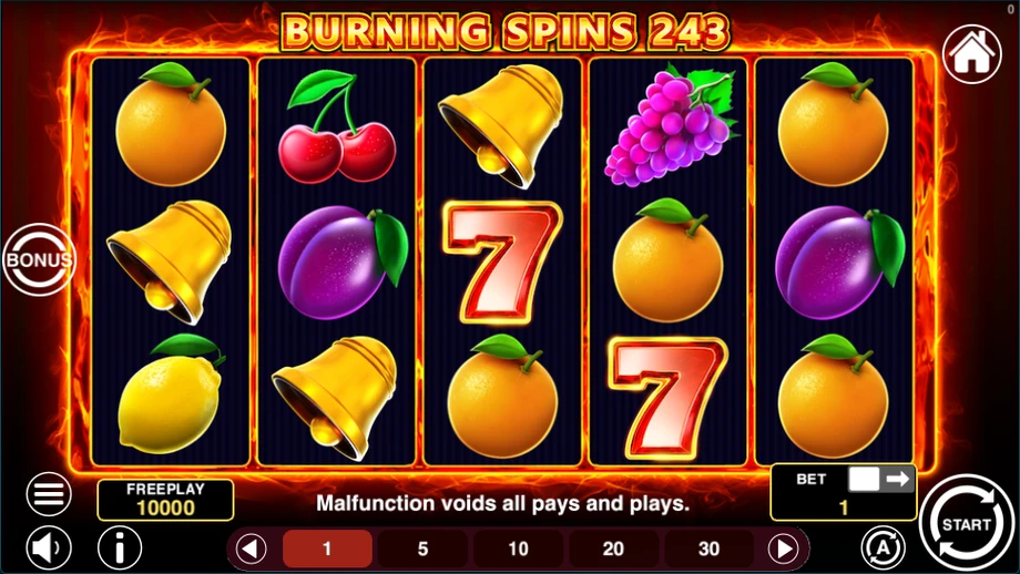 Captura do jogo Burning Spins 243