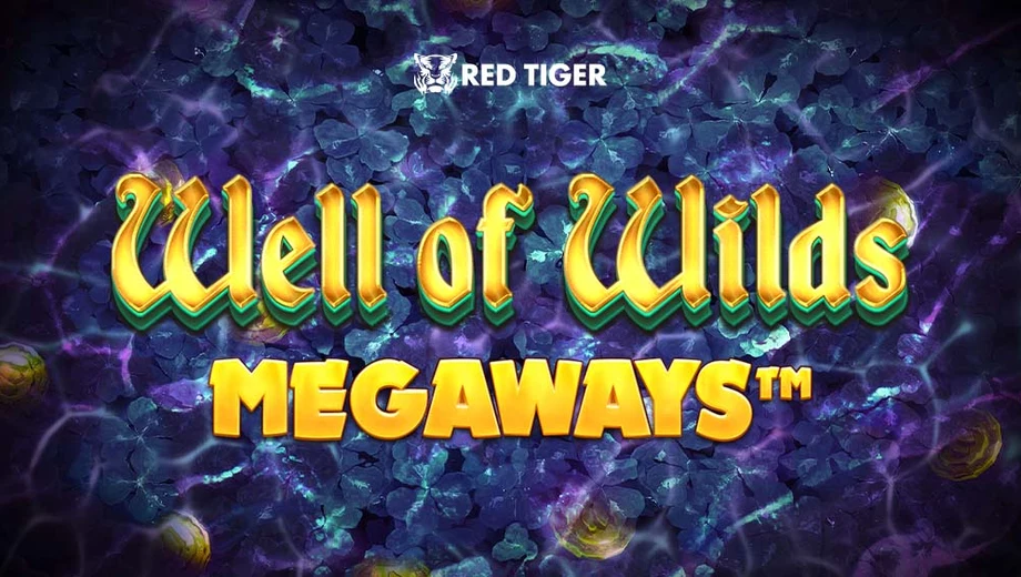 Banner de Well of Wilds Megaways